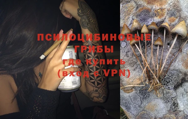 ПСИЛОЦИБИНОВЫЕ ГРИБЫ Бронницы
