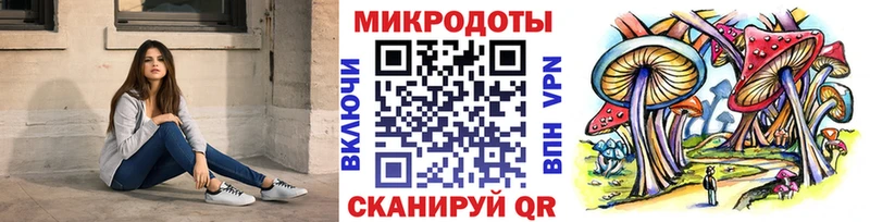 Галлюциногенные грибы Psilocybe  Благовещенск 